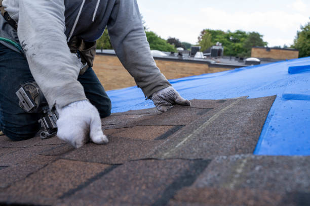Best Sealant for Roof  in Crest Hl, IL