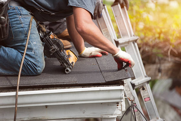 Best Flat Roof Repair Services  in Crest Hl, IL